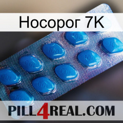 Носорог 7K viagra1